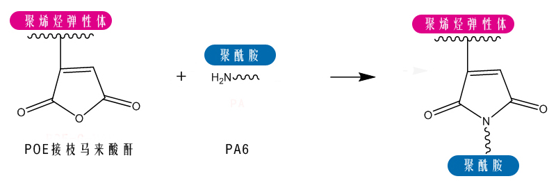 全发国际app·(中国区)官方网站